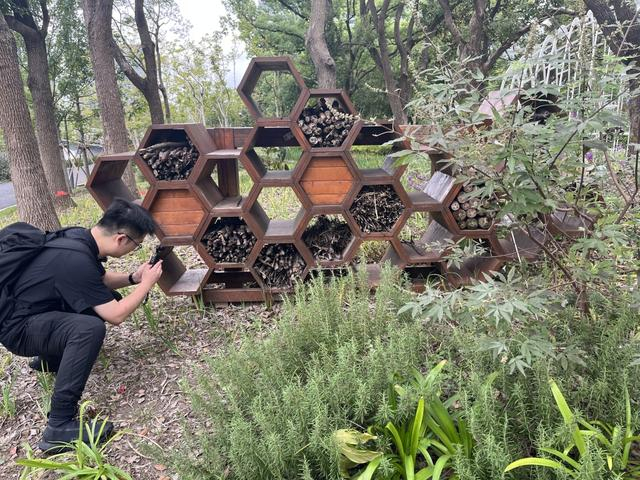 秘境花园内的“昆虫旅馆” 澎湃新闻记者 邹娟 图
