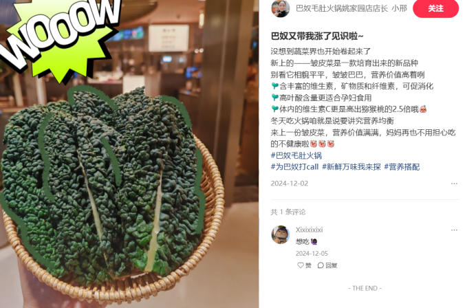 图片来源：小红书截图