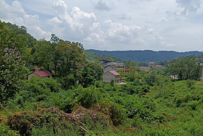向荣村一角