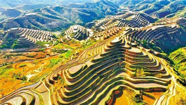 绥德县薛家河镇万亩高粱基地（资料照片）。 受访单位供图