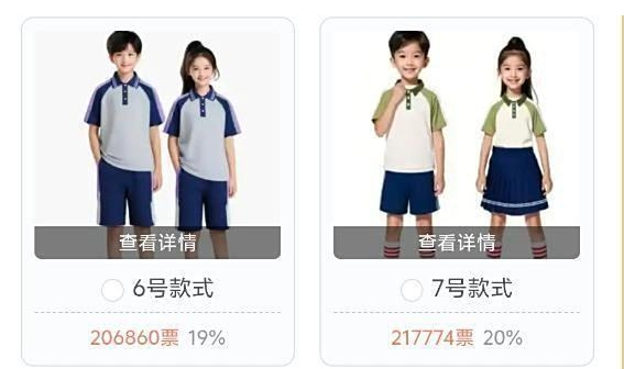 投票页面截图
