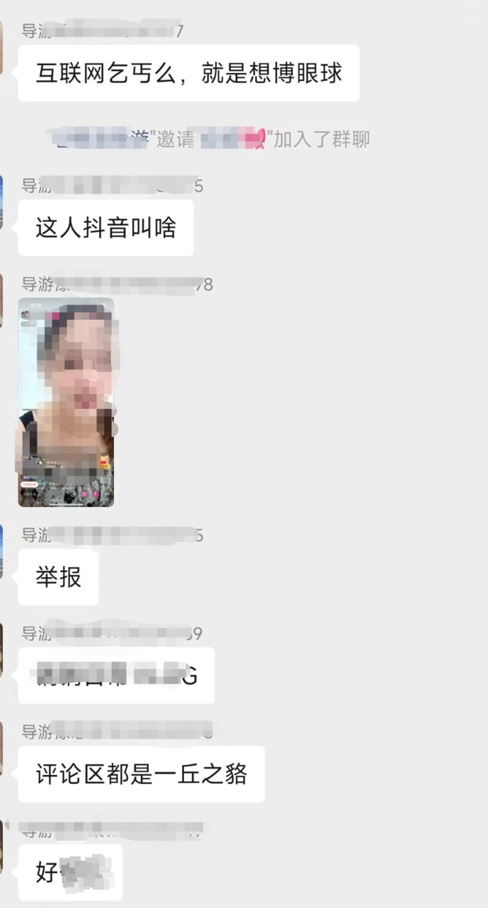 导游群里的谩骂信息（受访者供图）