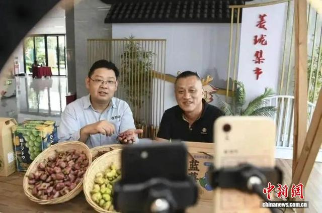 秀洲区网络人士直播带货销售农副产品。秀洲区委统战部供图