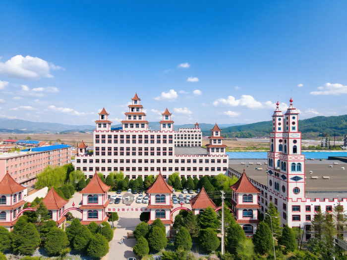 鞍山轮胎有限公司外景