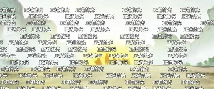 （图/视频截图）