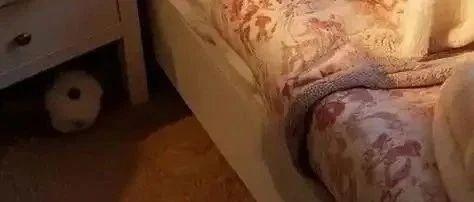 "太羞耻!" 多名准初一生家长掀开被窝, 崩溃了…提醒: 这种病千万不能拖
