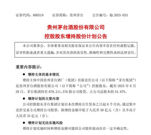 公告截图。图源：上交所网站