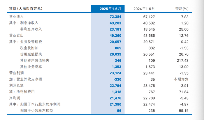 民生银行2025年上半年利润情况&nbsp; &nbsp; （图源：民生银行2025年中报）