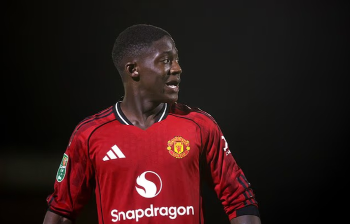 云体育app网页版登录電腦免費版