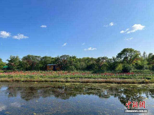 图为牙克石林场宛若世外桃源。 牙克石市融媒体供图