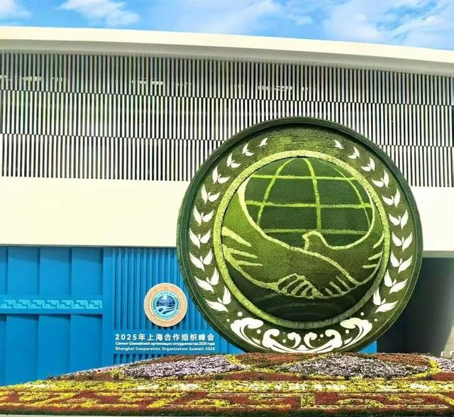  8月31日，2025年上合组织峰会在天津拉开帷幕。澎湃新闻记者 王蕴玮 图 