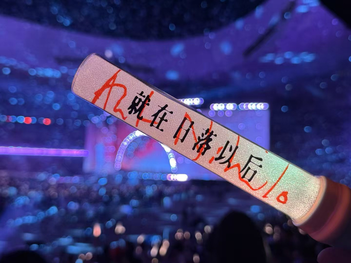 一位孙燕姿粉丝拍的演唱会现场图 图源：文不叮