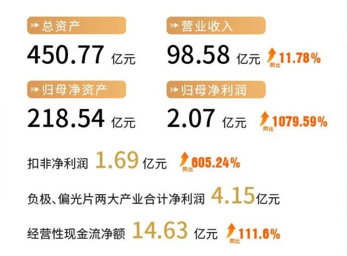 ▲2025年上半年杉杉股份经营数据,图源网络