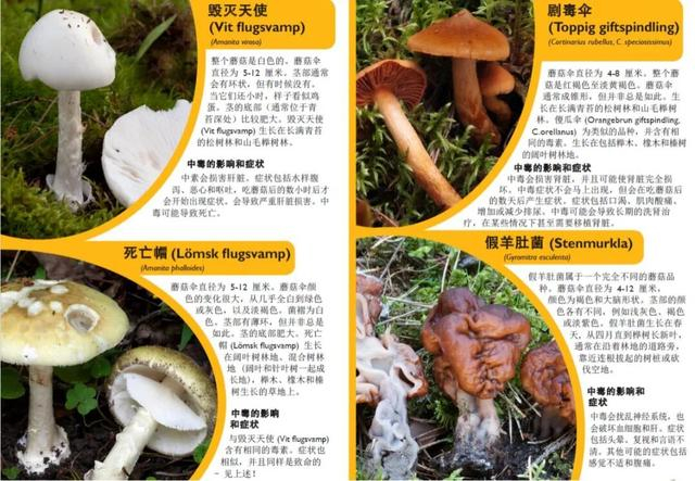 来源：中国驻瑞典大使馆