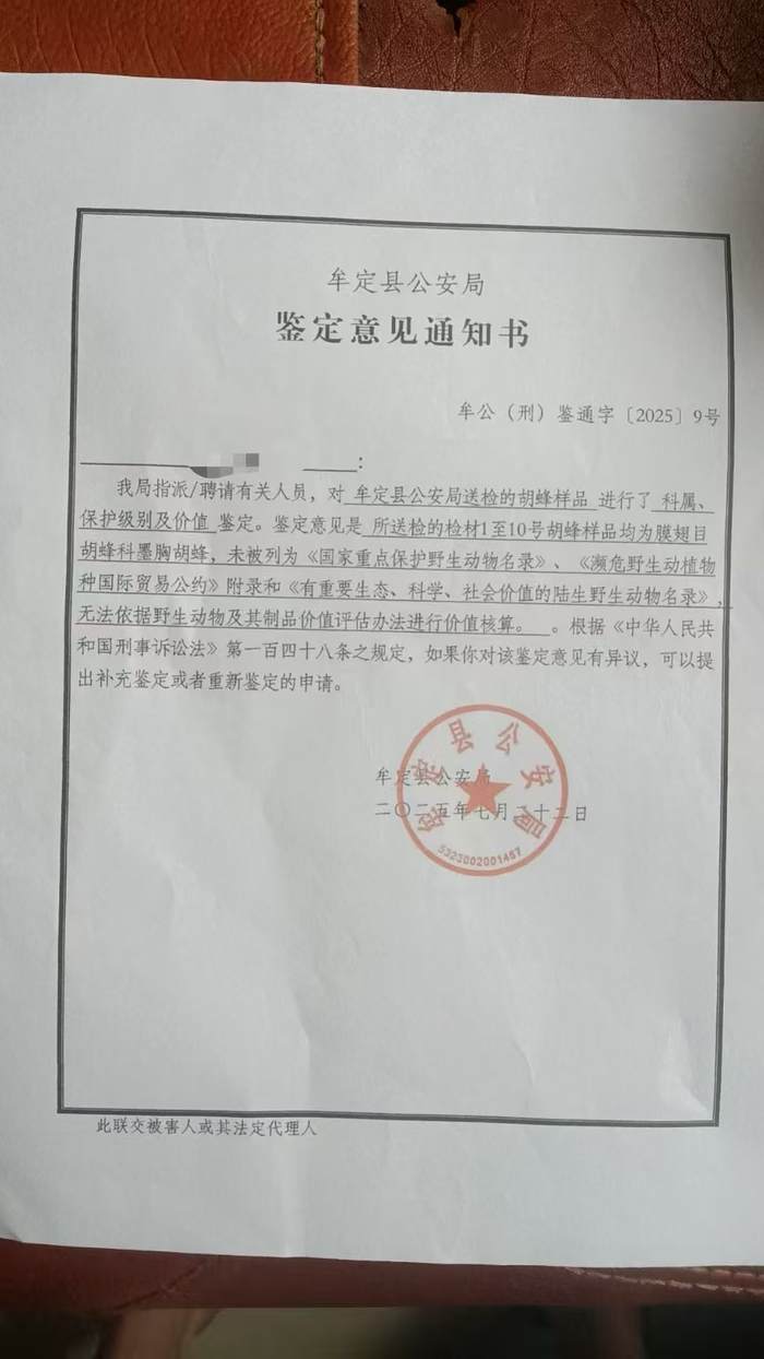 事发后，当地警方出具的胡蜂鉴定意见。