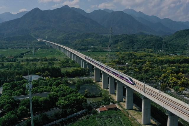 图为高铁列车行驶在杭州市桐庐县境内的杭温高铁跨杭黄铁路特大桥上。新华社记者黄宗治 摄