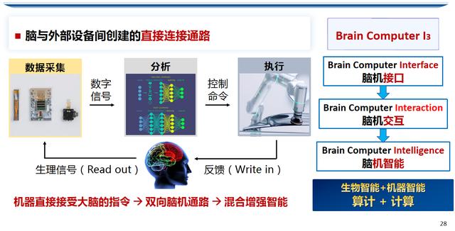 图3 脑机接口定义