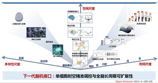 图14 下一代脑机接口技术发展趋势 引自Nature Electronics