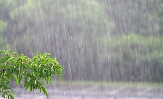中国气象局：今年华北雨季累计雨量较常年偏多161.1％，创1961年以来新高