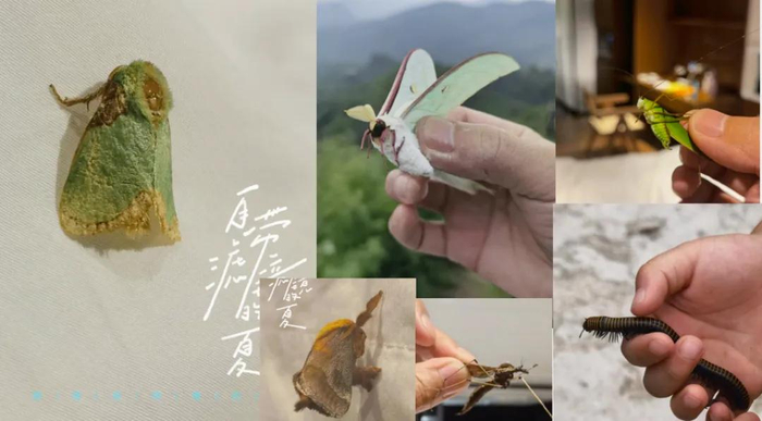 来源：李海波泉果无限对话内部分享