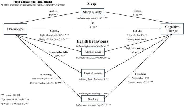 睡眠质量、饮酒、体力活动与吸烟的中介路径示意