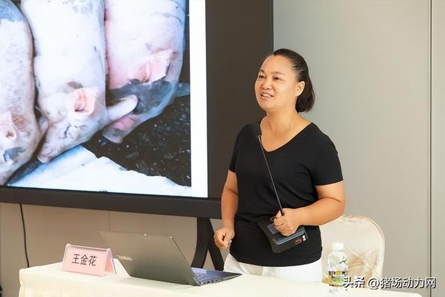 海南五脚猪产业发展交流暨养殖技术培训报告大会在奥运村隆重举行|白沙|海南省|合作社|农业农村|海南省养猪行业协会_新浪新闻