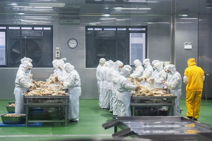 2024年11月24日，在湖南宁乡经开区一家预制菜企业生产车间，工作人员在处理食材。新华社记者 陈思汗 摄