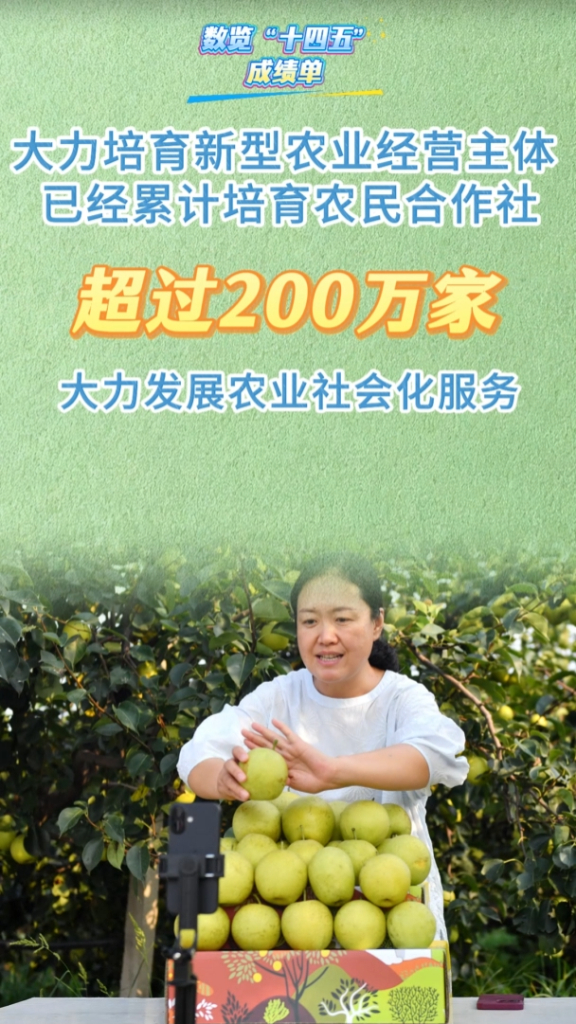 来源：新华社