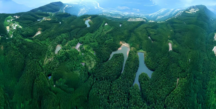 图为九龙山自然保护区