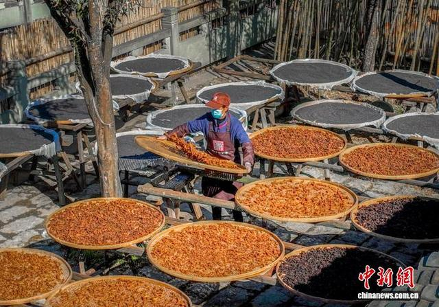 近日，太平山村黄精共富工坊晒场。上虞区委统战部 供图