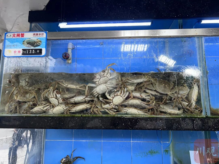 3两母蟹价格在35元一斤，预计9月底大量集中上市。