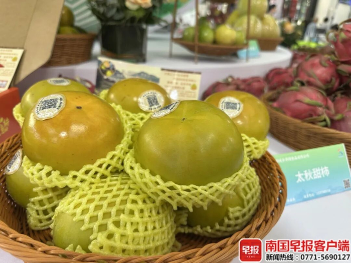 ▲太秋甜柿。