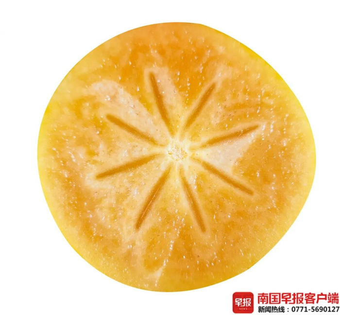 ▲太秋甜柿。