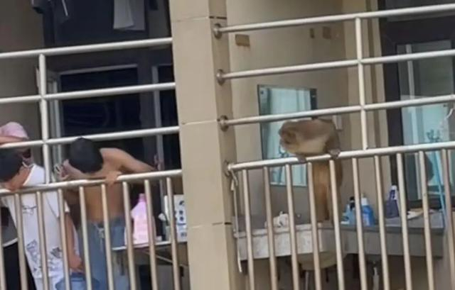 视频截图 