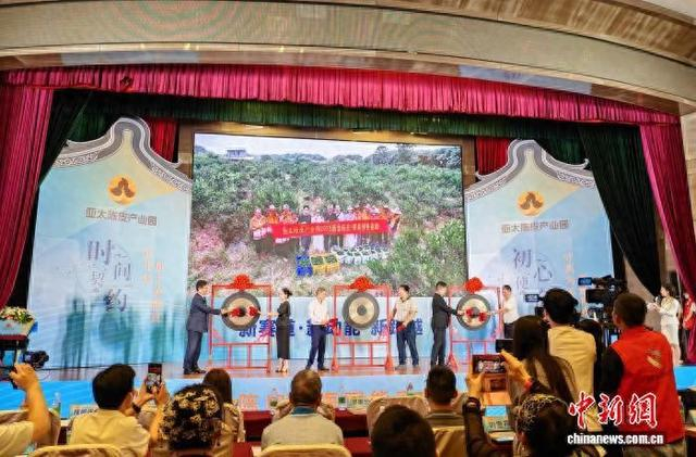 亚太陈皮产业园2025新皮等预售启动仪式。中新网记者 郭军 摄