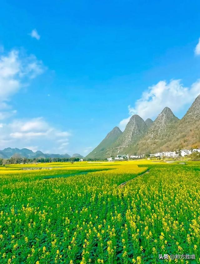 兴义为什么是贵州最宜居的城市?这里的气候和环境真让人流连忘返__财经头条__新浪财经