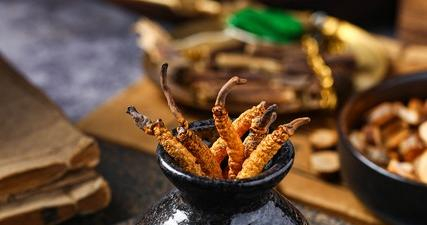 四位名老中医屡试屡效方之鼻炎鼻窦炎秘方集