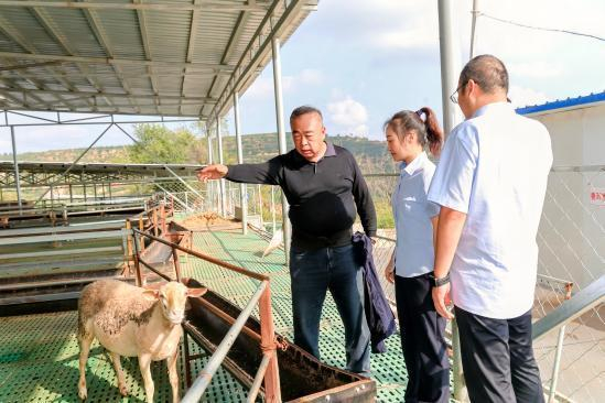 以“智”赋能 向新而行——中拉经贸合作跑出“加速度”