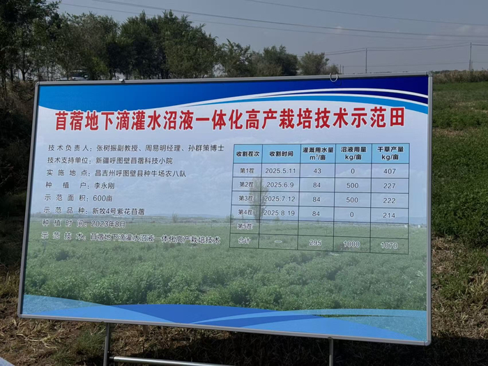 苜蓿地下滴灌水沼液一体化高产栽培技术示范田。