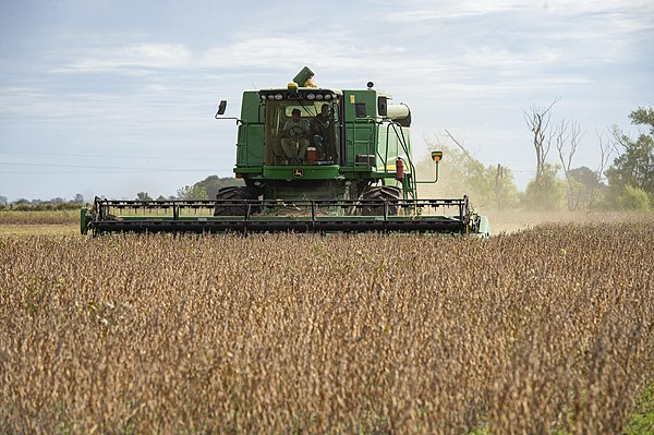阿根廷农民收割秋季大豆。 视觉中国