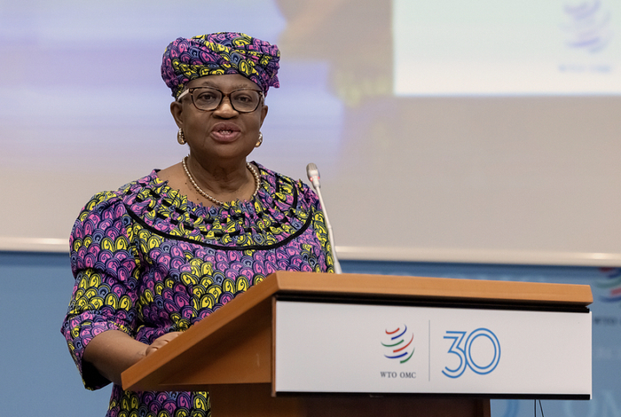 世贸组织总干事伊维拉 资料图 图源：视觉中国