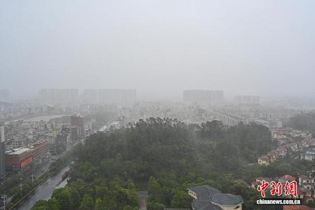 9月24日，广东阳江阳西县风雨呼啸。中新社记者 陈骥旻 摄 