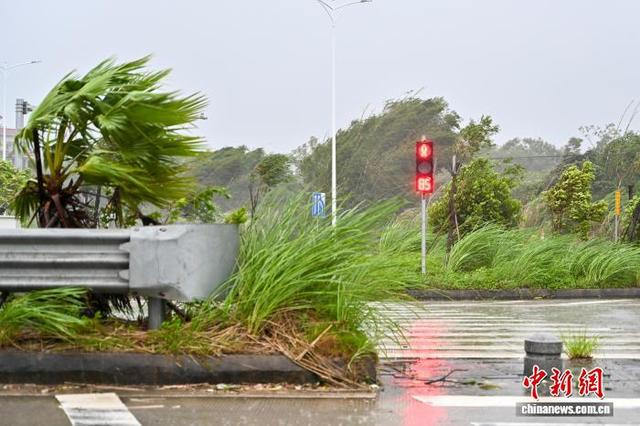 9月24日，广东阳江阳西县风雨呼啸。中新社记者 陈骥旻 摄 