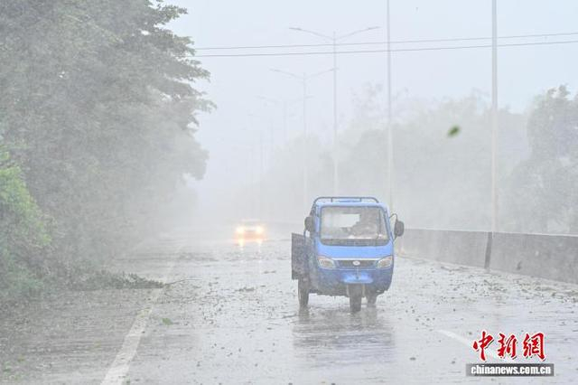 9月24日，广东阳江阳西县风雨呼啸。中新社记者 陈骥旻 摄 