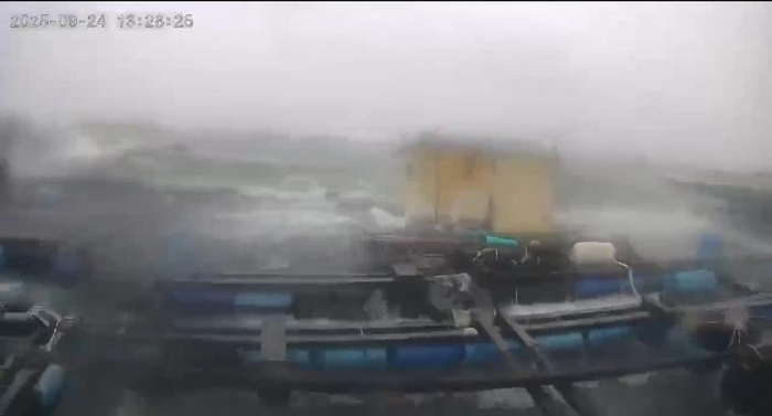 台风“桦加沙”登陆前的海陵岛。受访者供图