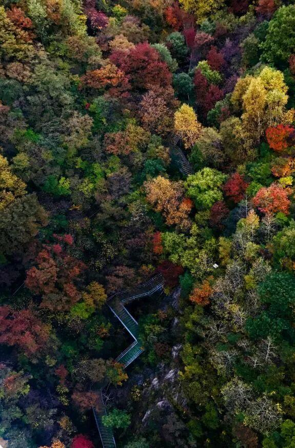 房山秋色。房山区文旅局供图