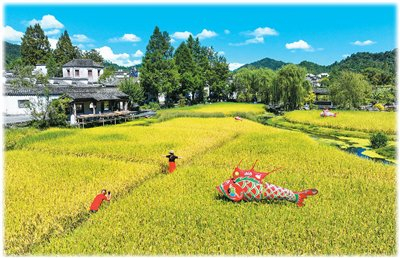 近日，安徽省黄山市黟县的西递古村落举办创意晒秋活动，打造文旅融合的新场景。图为游客在村中游玩。施亚磊摄（人民图片）