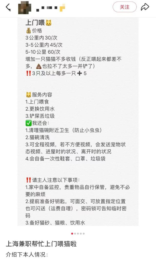 一些从业人员上门喂猫的工作内容。网络图