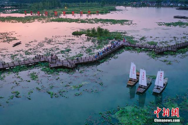 沿湖村荷塘月色景观湿地。沿湖村供图