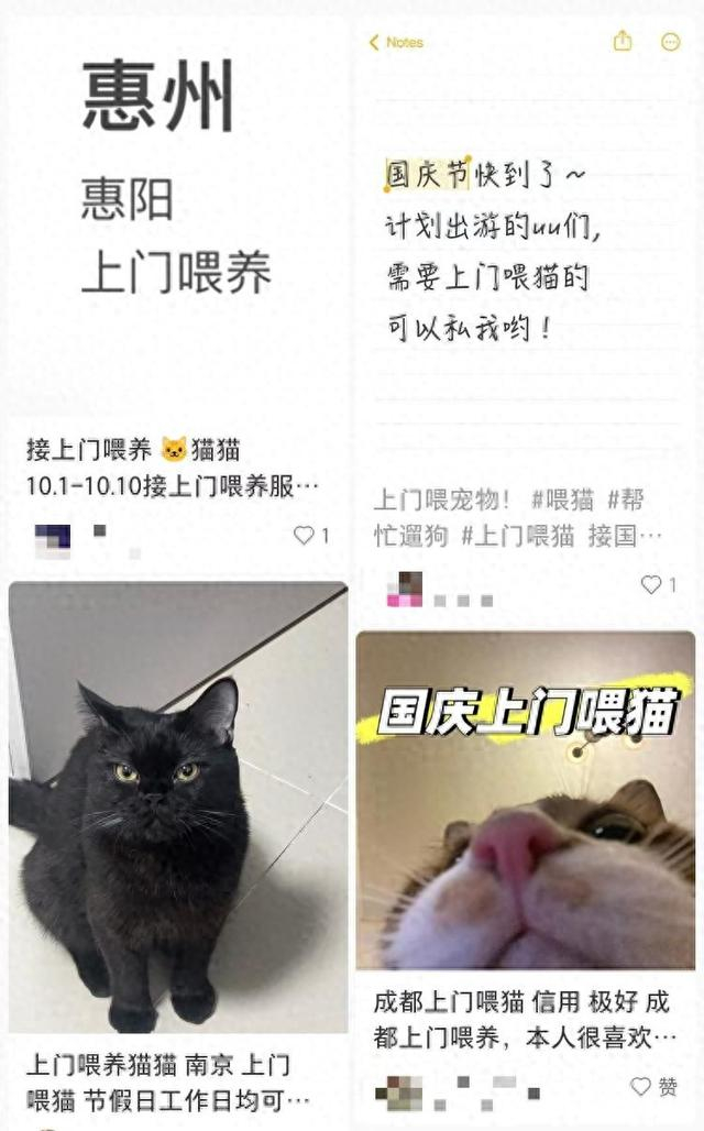 社交平台上有不少国庆期间可以接同城上门喂宠物业务的帖子。网络图